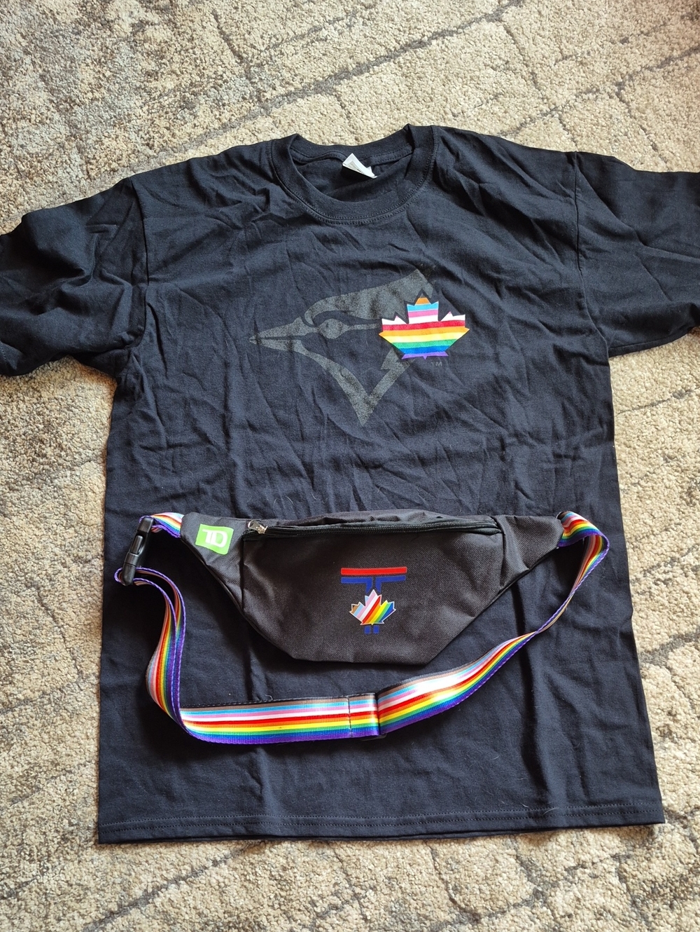Toronto blue jays, Celebrating gay pride